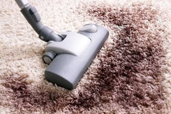 Как избавиться от плесени на ковре