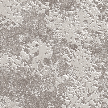 Торино - (17)49